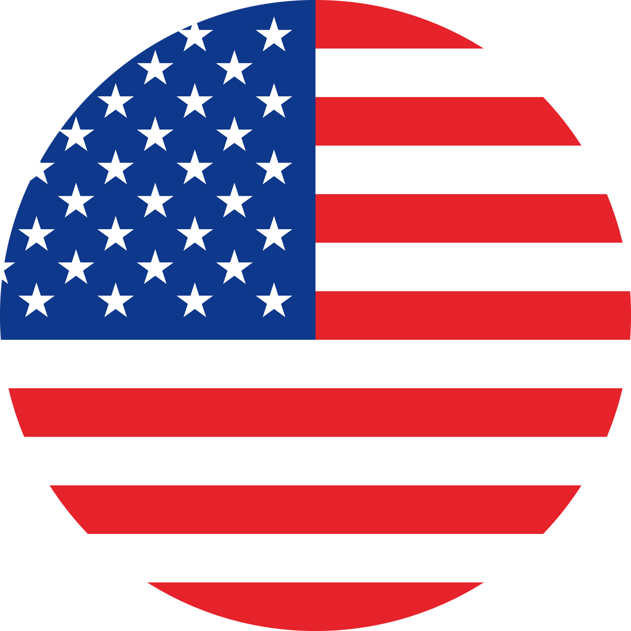 USA Flag Round Icon